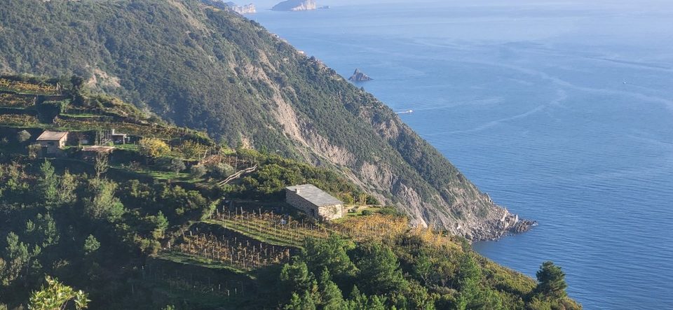 Cinque Terre coastline and terraced vineyards
