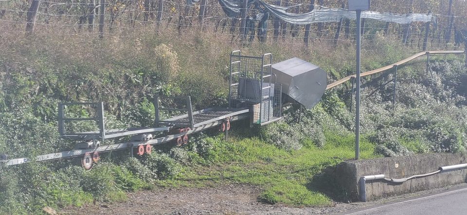 A cog monorail track running up beside a vineyard