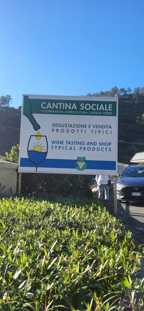 Sign for the Cantina Cinque Terre co-op