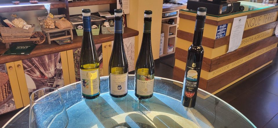 Co-op wines including Sciacchetrà on the tasting bar