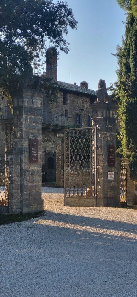 The gate at Palazzo Massaini