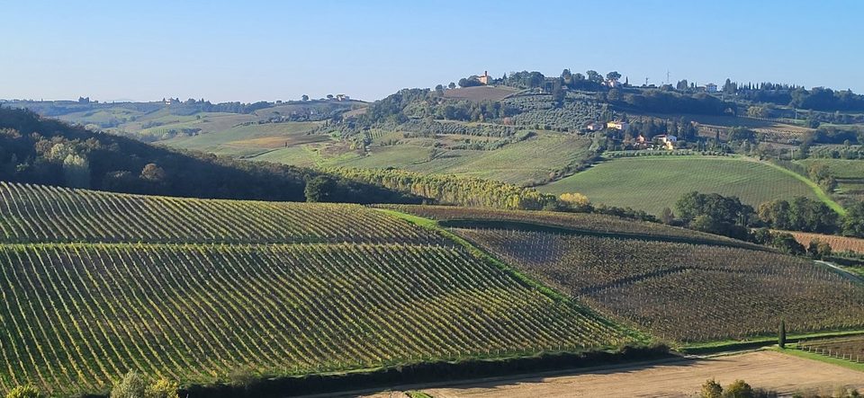 Vineyards around San Gimignano
