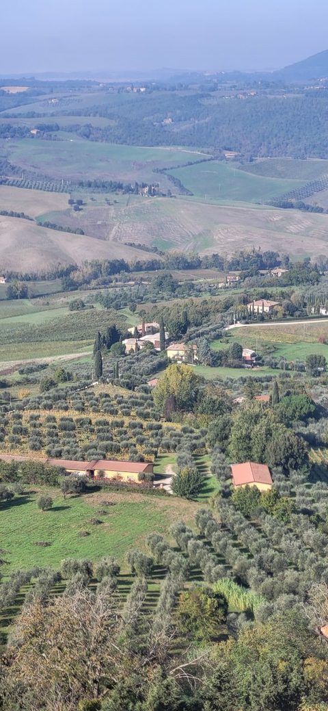 Tuscan countryside seen from Montepulciano