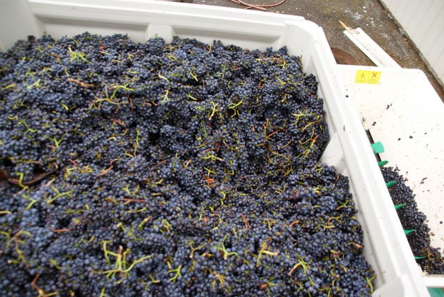 Villa Catalana Cellars