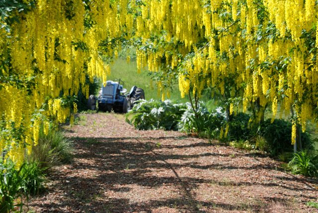 Villa Catalana Cellars